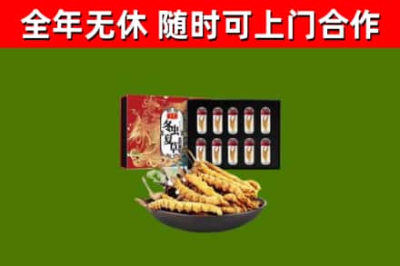 卢氏回收冬虫夏草价格