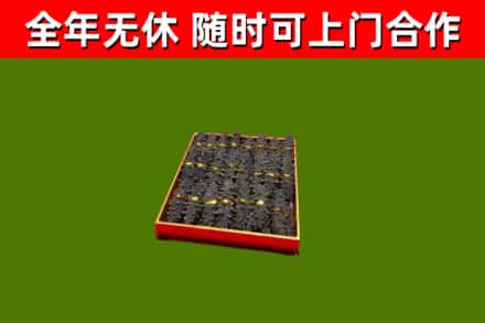 卢氏回收海参